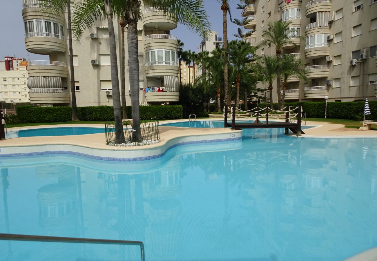 Apartment in Gandía - TROPICANA PARK 18 - 3ª - 8º - 48ª