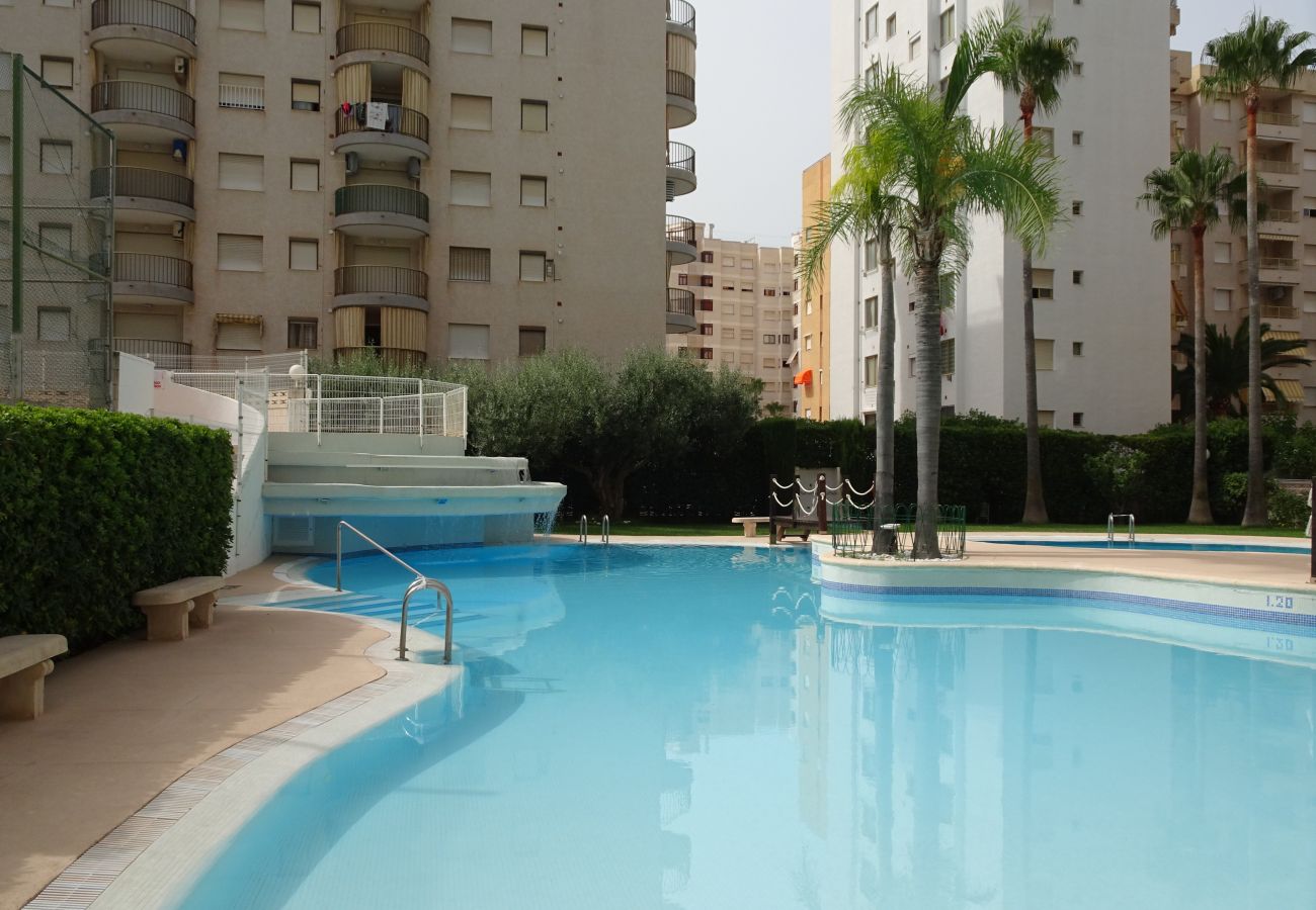 Apartment in Gandía - TROPICANA PARK 18 - 3ª - 8º - 48ª
