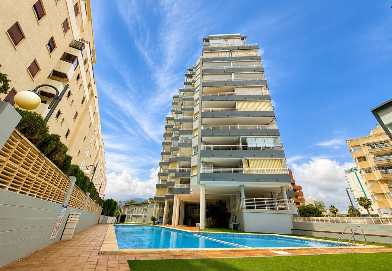 Apartment in Calpe / Calp - Alq 377 Aquarium - Playa de la Fosa