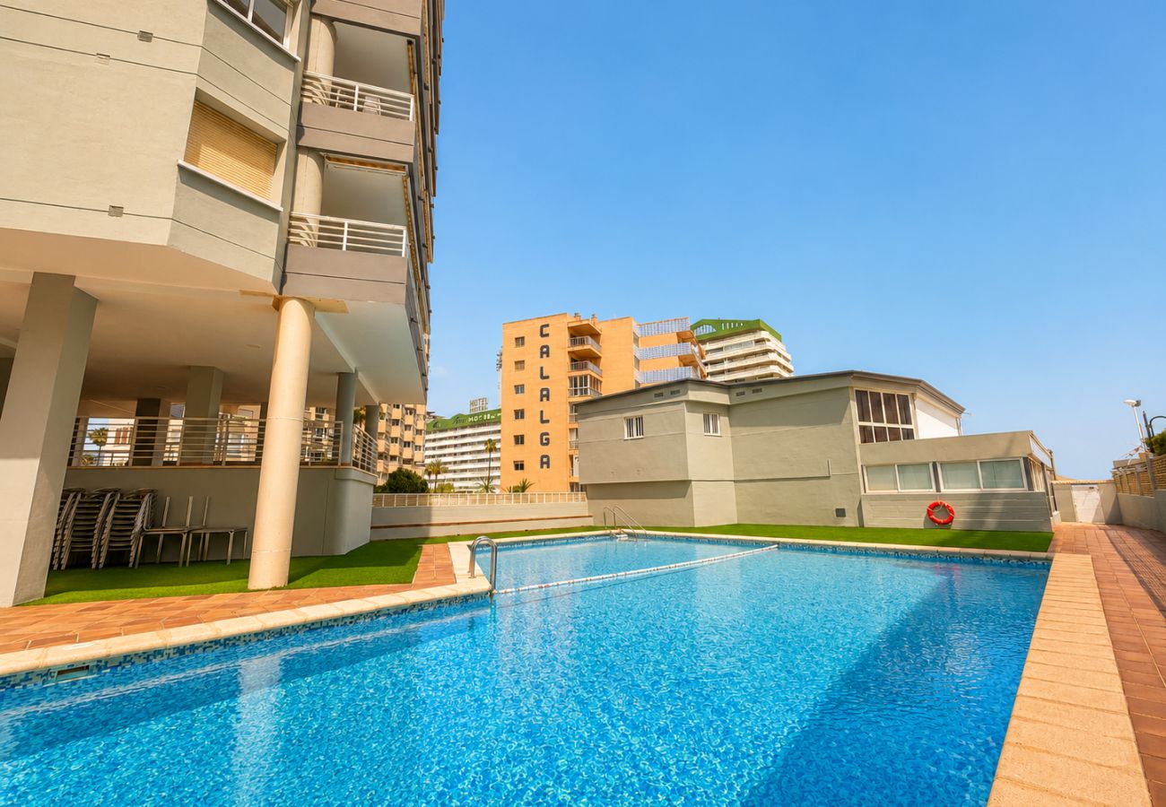 Apartment in Calpe / Calp - Alq 377 Aquarium - Playa de la Fosa