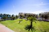 Apartment in Denia - 176 Estrella de Mar, 6
