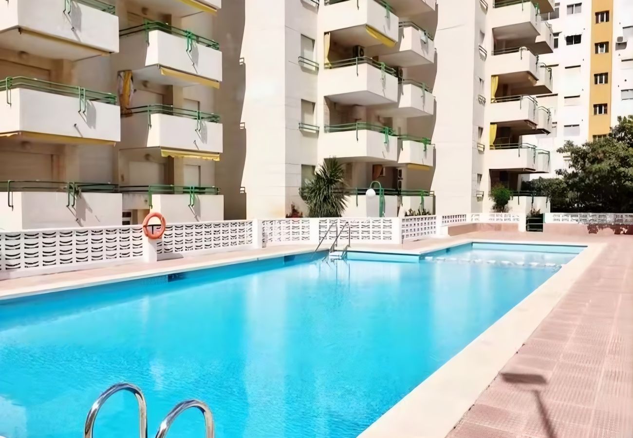 Apartment in Playa de Gandía - 1.Cancun VI Esc. 2 1ºC