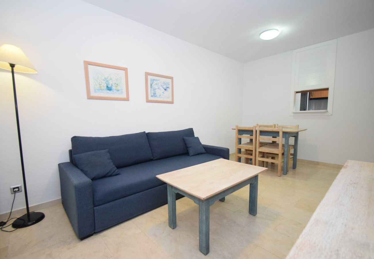 Apartment in Benidorm - TORRE IPANEMA 12C
