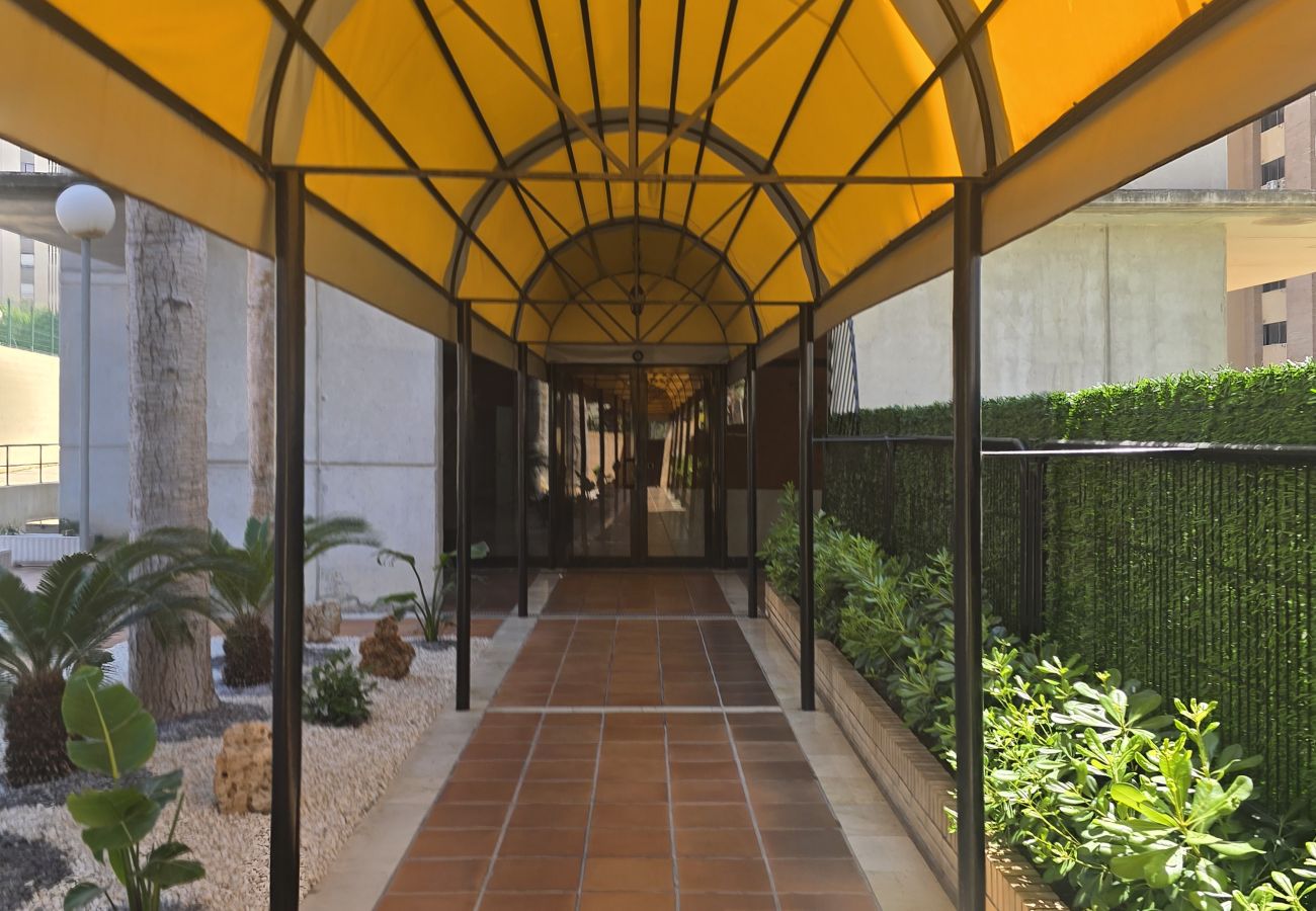 Apartment in Benidorm - TORRE IPANEMA 12C