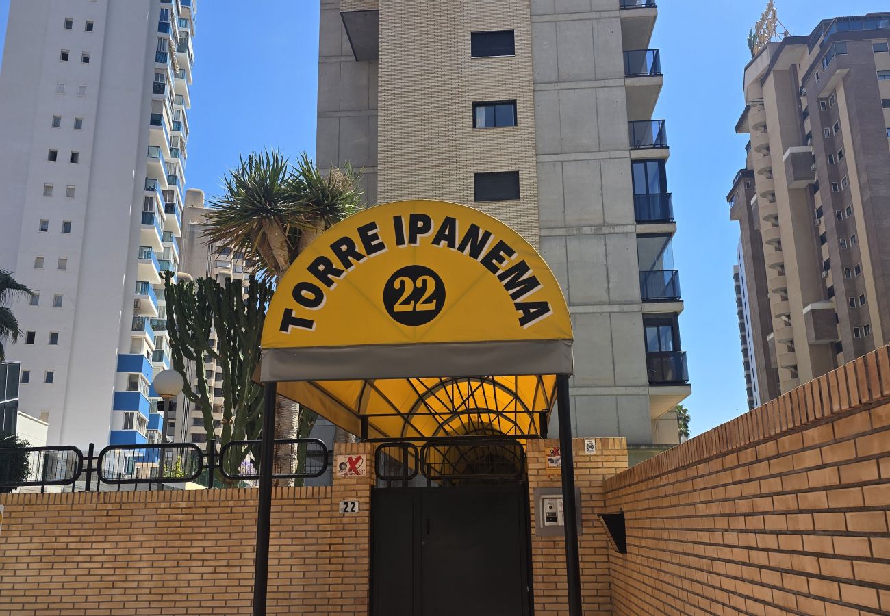Apartment in Benidorm - TORRE IPANEMA 12C