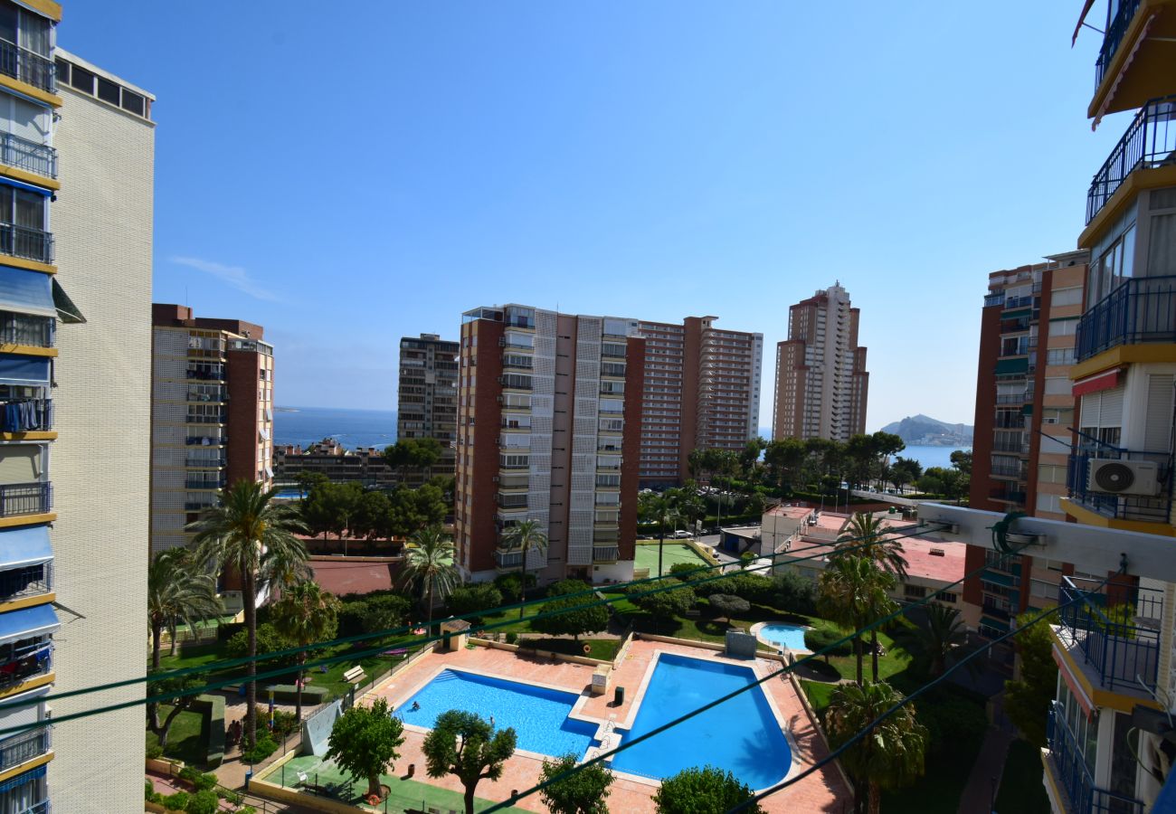 Apartment in Benidorm - TORRE CLUB MEDICO 7A2