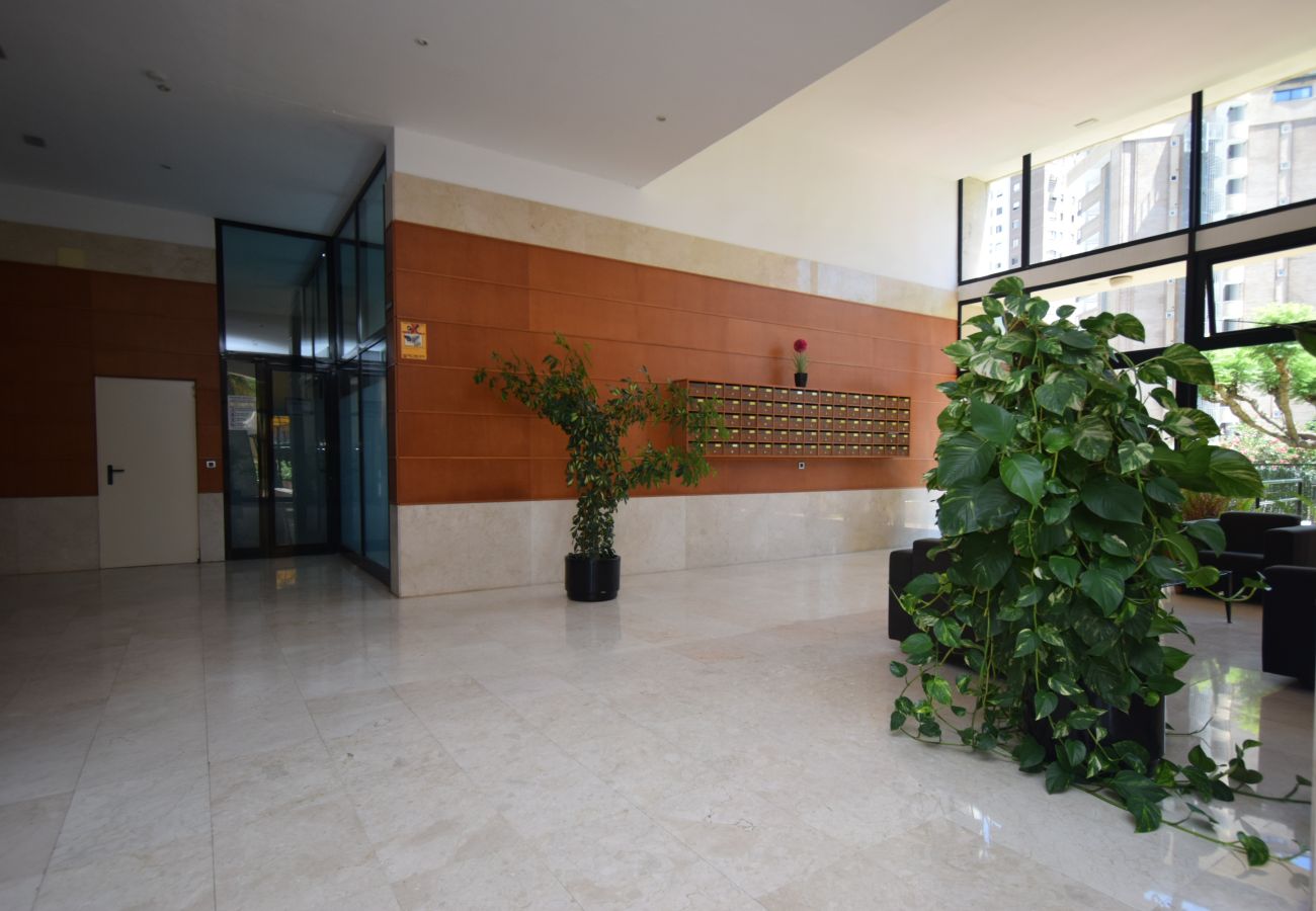 Apartment in Benidorm - TORRE IPANEMA 9D