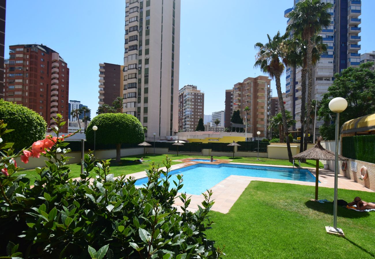 Apartment in Benidorm - TORRE IPANEMA 9D