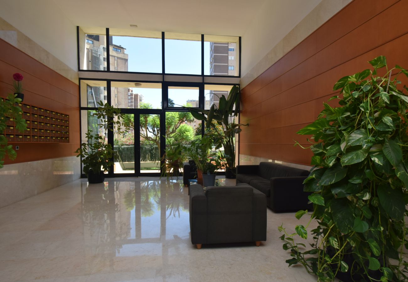 Apartment in Benidorm - TORRE IPANEMA 9D