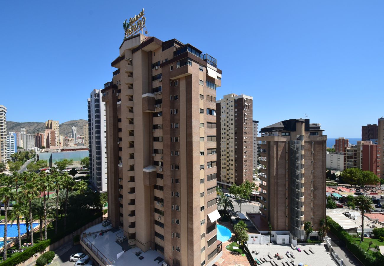 Apartment in Benidorm - TORRE IPANEMA 9D