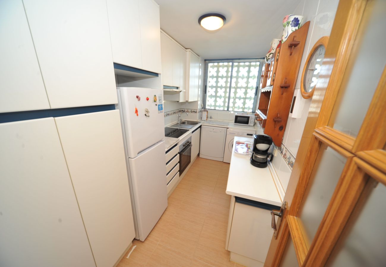 Apartment in Benicàssim - PLENAMAR II 10 5