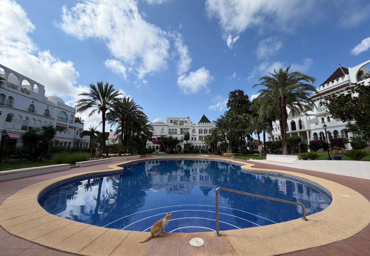 Apartment in Denia - 124 Al Khalif