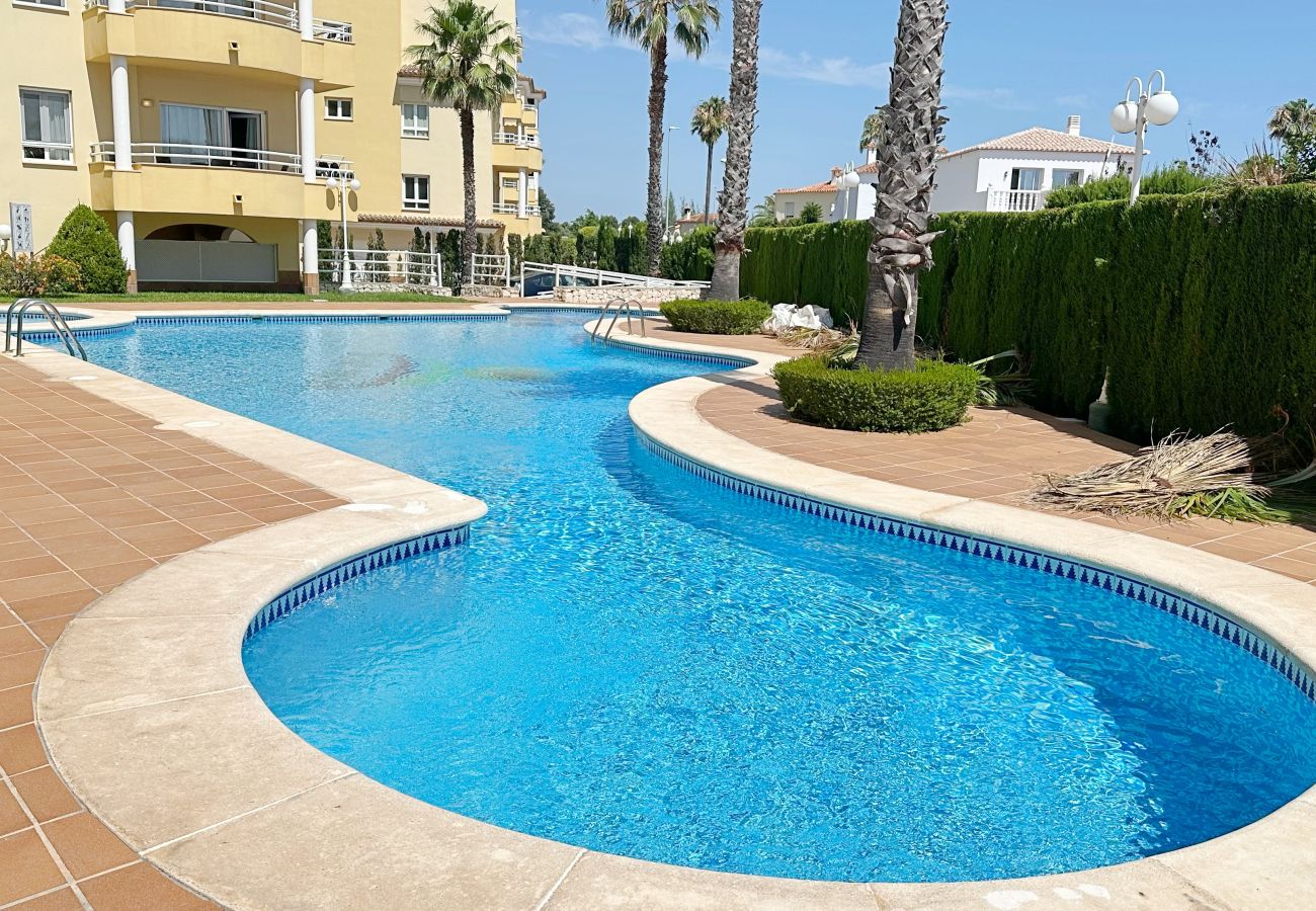 Apartment in Oliva - TAMARINDO 4º -