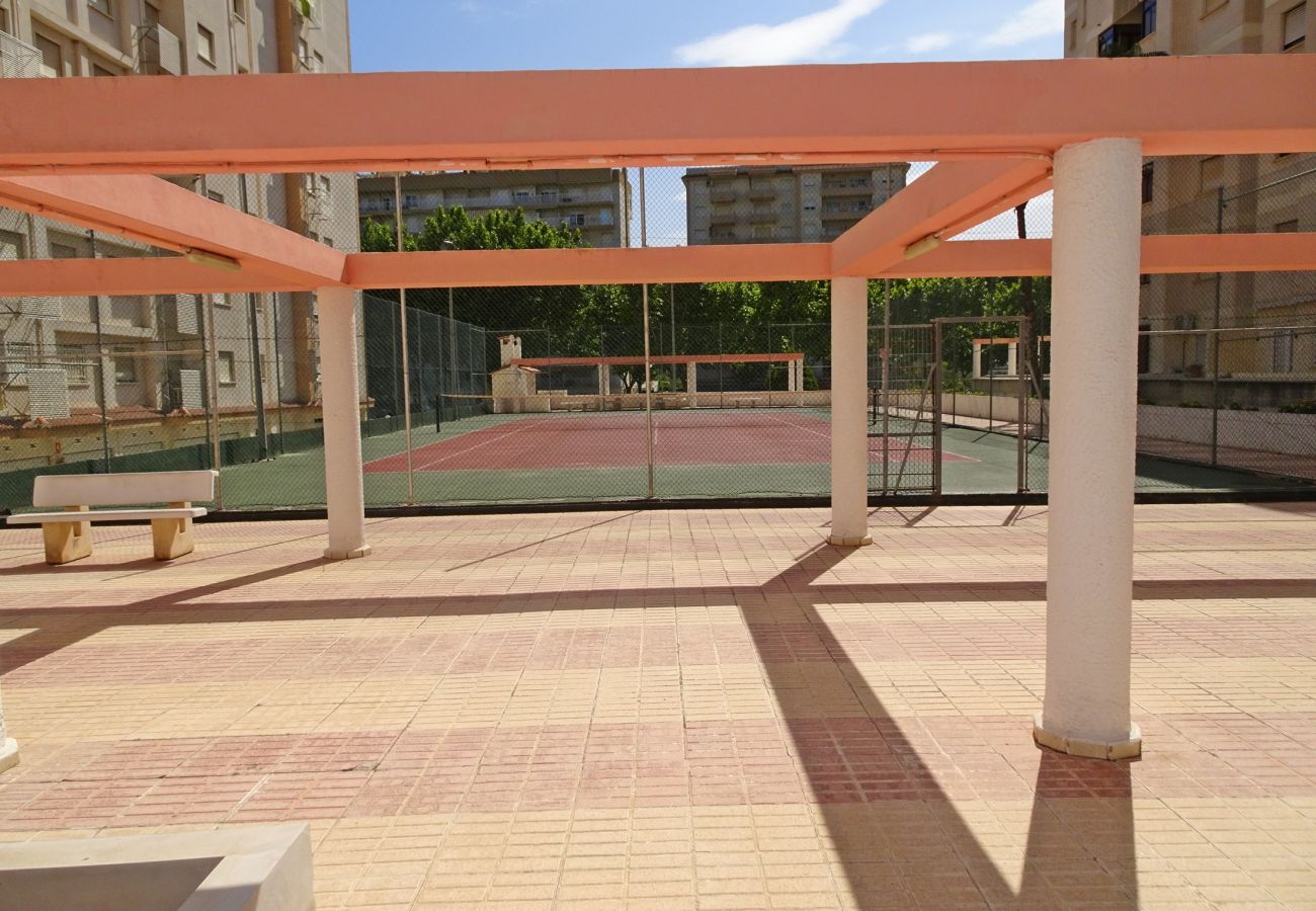 Apartment in Gandía - SALINAS IV - 1ª - 7º - B