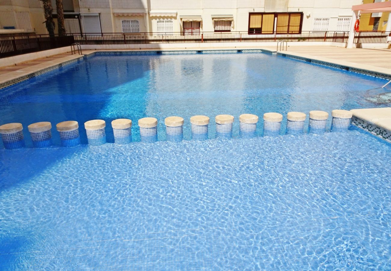 Apartment in Gandía - SALINAS IV - 1ª - 7º - B