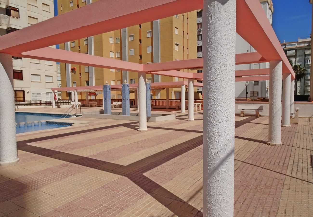 Apartment in Gandía - SALINAS IV - 1ª - 7º - B